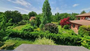 Apartment in Zamardi - Balaton 20369