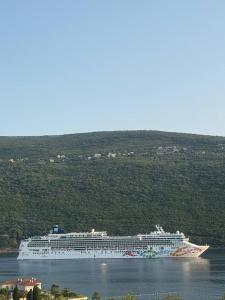 Alex Apartment Petrovac