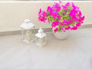Pontino Apartments
