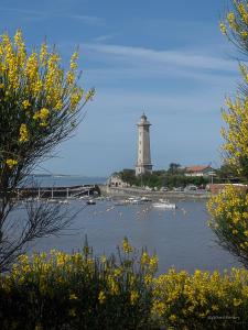 Maisons de vacances Le Rayon de Soleil : photos des chambres