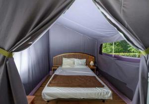 Chalets Chalet 3 etoiles - Piscine - ccbbhfa : photos des chambres