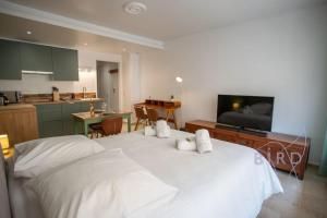 Lovely renovated studio in the heart of Cannes