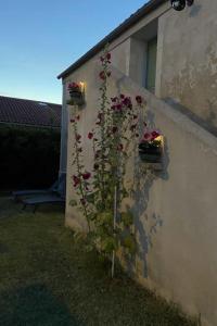 Maisons de vacances Ocean : photos des chambres