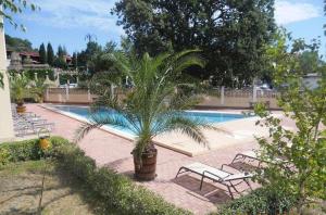 Квартира студия Villa Astoria 2 Болгария Солнечный берег