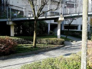 Olimpo Apartament