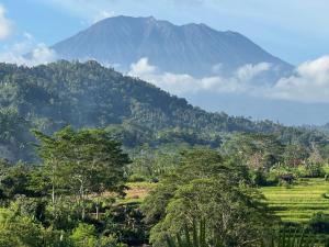 Zen Villa by SARAYA Bali