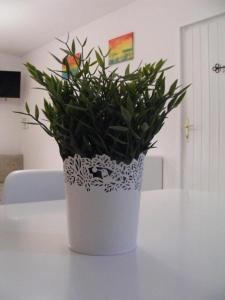 Fortuna Apartman Studio