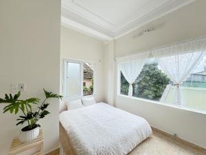 Mậps Soul Hostel Đà Lạt