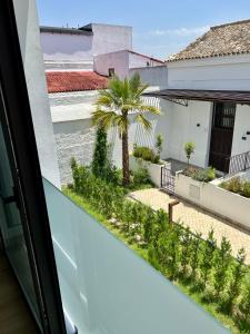 GATU PREMIUM Palacio Winthuyssen "preferente para mayores de 25 años y familias "