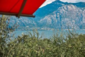 La Perla del Lago by Gardenjoy