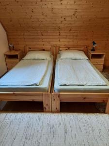 Apartment in Balatonbereny - Balaton 18074