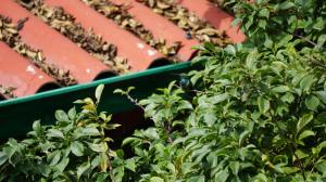 Ayenda Mountain Hostels Manizales