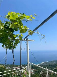 Stamos Paradise View