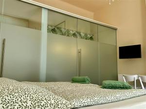 SMARAGD - Apartment mit Balkon im ZENTRUM, Parkplatz, am Fluss