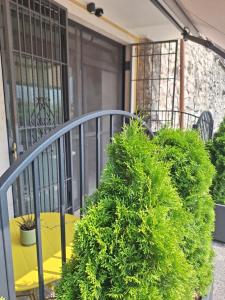 appartamenti ACTIVESTAY