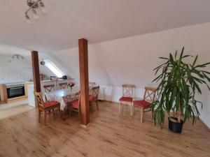 Beautiful Apartment in Robertsdorf with Garden