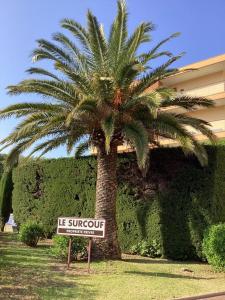 Belle résidence arborée, Appart climatisé, piscine, à 500m de la mer