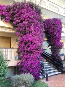 Belle résidence arborée, Appart climatisé, piscine, à 500m de la mer