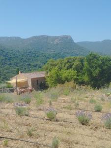 holiday home su Niberalzu img11