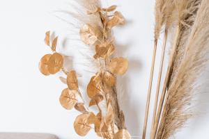 Maisons de vacances Le Vignoble : photos des chambres