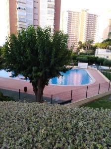 Apartamento Benidorm- Piscina y parking