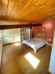 Villas Lou Castelet maison de charme, chambres climatisees Centre ville Albi : photos des chambres