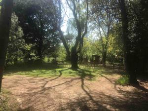 Villas Villa provencale avec piscine : photos des chambres