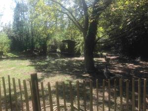 Villas Villa provencale avec piscine : photos des chambres