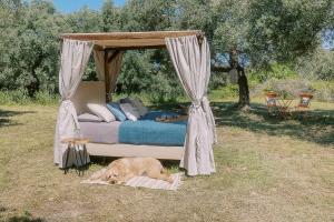 Star Sleep Kaloniktis Rethymno Olive Farm Escape
