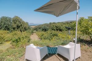 Star Sleep Kaloniktis Rethymno Olive Farm Escape