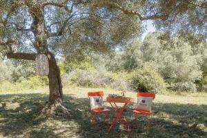 Star Sleep Kaloniktis Rethymno Olive Farm Escape