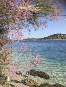 3 bedroom Apartment on the sea with garden