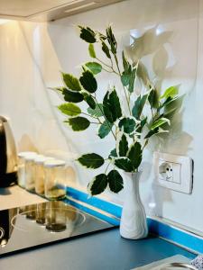 Hidden House Tirana Castle