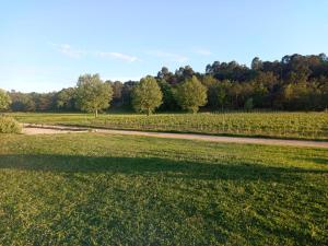 Le vallon des palombes