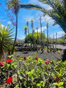 Finca Malvasia Rural Estate & Vineyard