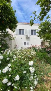 Dubrovnik Star View Apartment