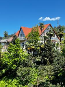 Guesthouse in Green Cape