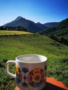 Maisons de vacances LA MIELLERIE MAISON ENTIERE 10 pers ISSOR : photos des chambres