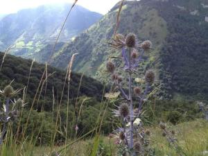 Maisons de vacances LA MIELLERIE MAISON ENTIERE 10 pers ISSOR : photos des chambres