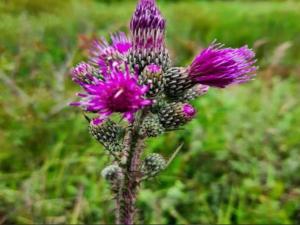 Apartment in Groote Keeten near the Beach