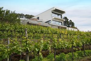 Casa PoliDouro - Vila Marim