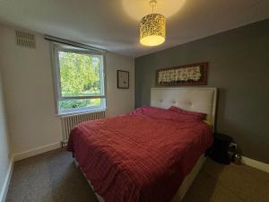 Contemporary Flat w Private Patio London Fields