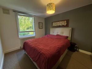 Contemporary Flat w Private Patio London Fields