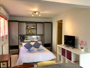 Appartements Studio aux portes de Rodez : photos des chambres