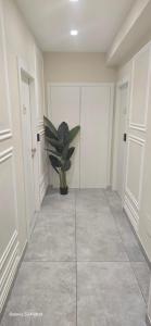 Chambre Quadruple de Luxe
