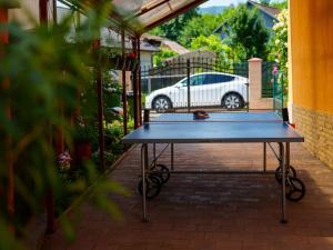 Vila Alina Calimanesti