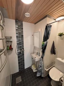 Loft style big studio for 2-4 in Pikku Huopalahti