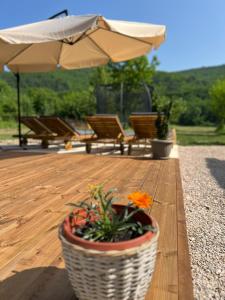 The grandfathers estate