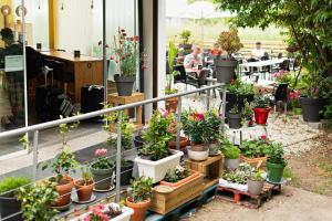 Cruce de Caminos Arzúa