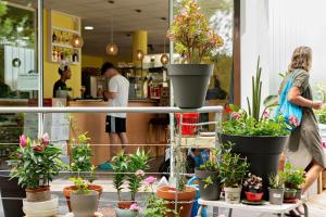 Cruce de Caminos Arzúa - Ubytování bez kategorie ve městě Arzúa